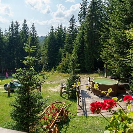 Lesna Bacowka Βίλα Nowy Targ Εξωτερικό φωτογραφία